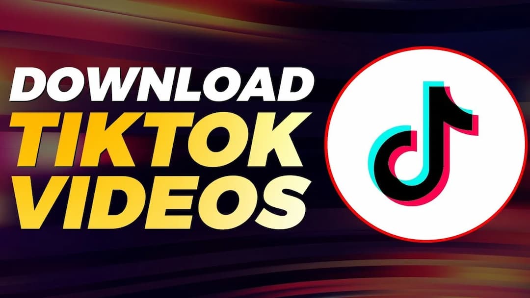 TikTok Downloader là nền tảng online giúp tải video TikTok 