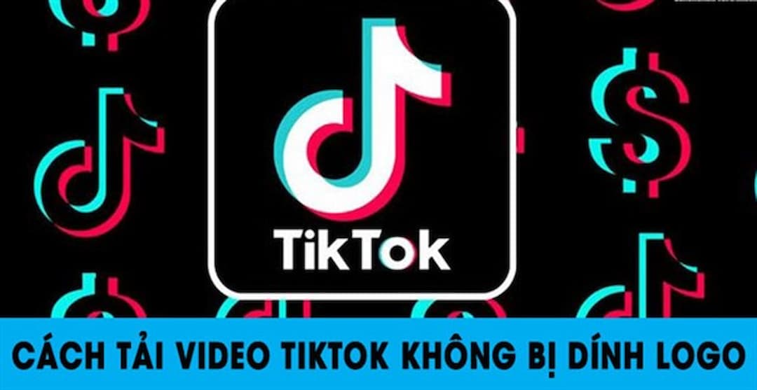  Musically Down là công cụ hỗ trợ download video nhanh chóng 