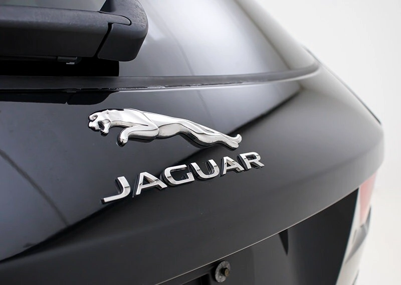 Jaguar trong tiếng Anh có nghĩa là con báo đốm